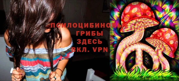 PSILOCYBIN Абинск