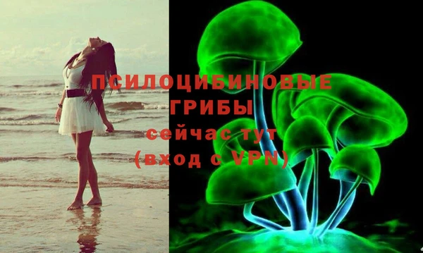 PSILOCYBIN Абинск