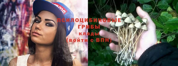 ПСИЛОЦИБИНОВЫЕ ГРИБЫ Абаза