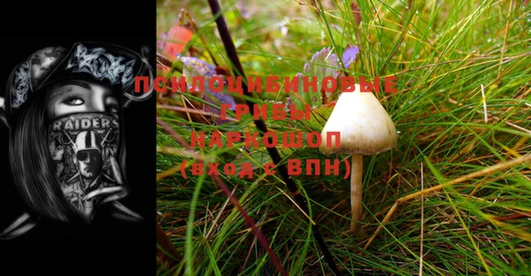 PSILOCYBIN Абинск
