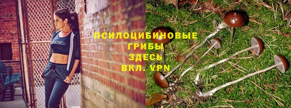 PSILOCYBIN Абинск