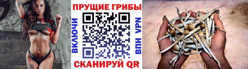 Псилоцибиновые грибы Magic Shrooms  Староминская 